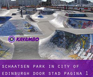 Schaatsen Park in City of Edinburgh door stad - pagina 1