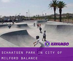 Schaatsen Park in City of Milford (balance)