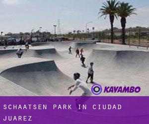 Schaatsen Park in Ciudad Juárez