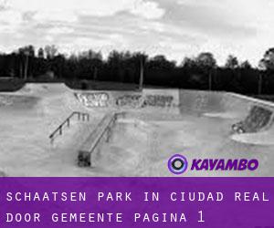 Schaatsen Park in Ciudad Real door gemeente - pagina 1