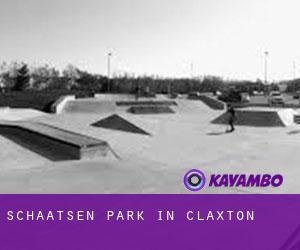 Schaatsen Park in Claxton