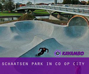 Schaatsen Park in Co-Op City