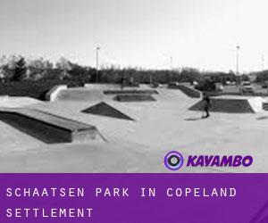 Schaatsen Park in Copeland Settlement