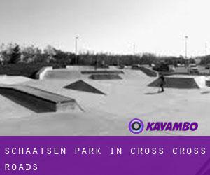 Schaatsen Park in Cross Cross Roads