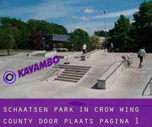 Schaatsen Park in Crow Wing County door plaats - pagina 1