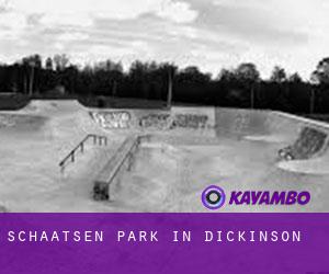 Schaatsen Park in Dickinson