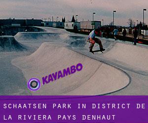 Schaatsen Park in District de la Riviera-Pays-d'Enhaut