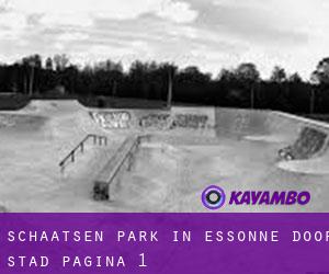 Schaatsen Park in Essonne door stad - pagina 1