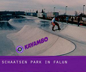 Schaatsen Park in Falun