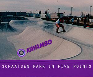 Schaatsen Park in Five Points