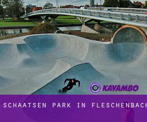 Schaatsen Park in Fleschenbach