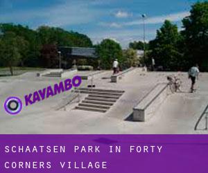 Schaatsen Park in Forty Corners Village