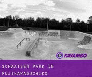 Schaatsen Park in Fujikawaguchiko