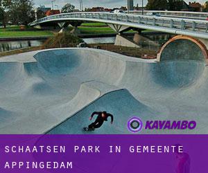 Schaatsen Park in Gemeente Appingedam