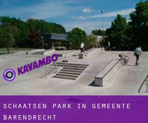 Schaatsen Park in Gemeente Barendrecht