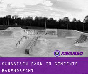 Schaatsen Park in Gemeente Barendrecht