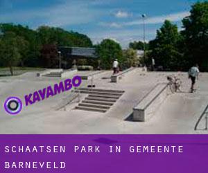 Schaatsen Park in Gemeente Barneveld