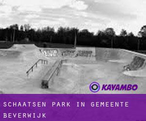 Schaatsen Park in Gemeente Beverwijk