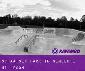 Schaatsen Park in Gemeente Hillegom