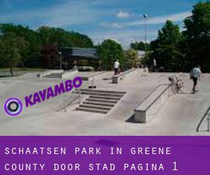 Schaatsen Park in Greene County door stad - pagina 1