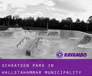 Schaatsen Park in Hallstahammar Municipality