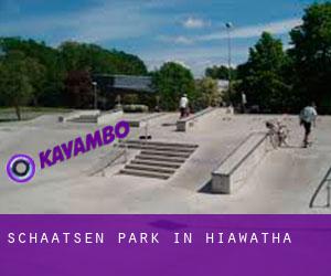 Schaatsen Park in Hiawatha