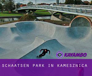 Schaatsen Park in Kamesznica