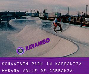 Schaatsen Park in Karrantza Harana / Valle de Carranza