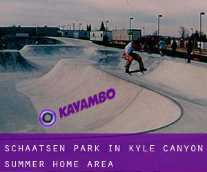 Schaatsen Park in Kyle Canyon Summer Home Area