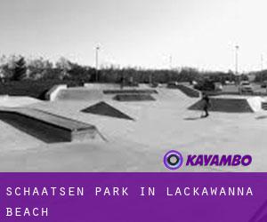 Schaatsen Park in Lackawanna Beach