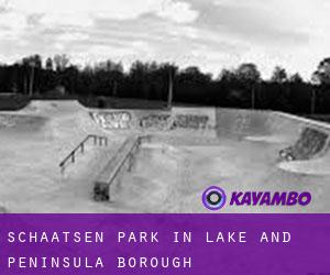 Schaatsen Park in Lake and Peninsula Borough