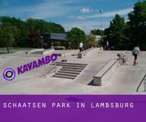 Schaatsen Park in Lambsburg