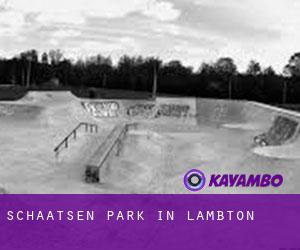 Schaatsen Park in Lambton