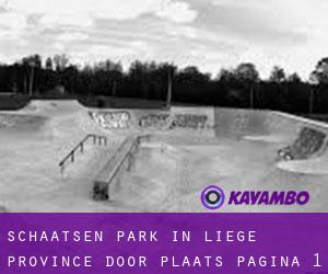 Schaatsen Park in Liège Province door plaats - pagina 1