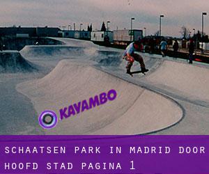 Schaatsen Park in Madrid door hoofd stad - pagina 1