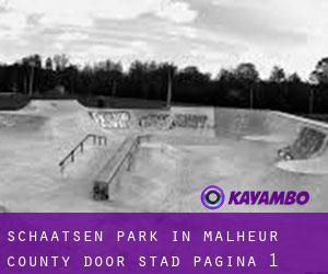 Schaatsen Park in Malheur County door stad - pagina 1