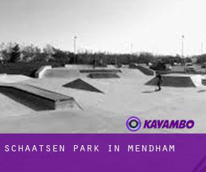 Schaatsen Park in Mendham