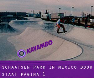Schaatsen Park in Mexico door Staat - pagina 1
