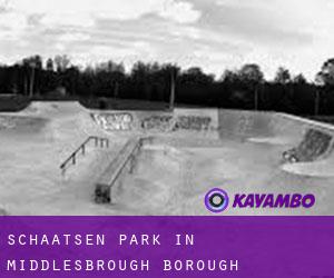 Schaatsen Park in Middlesbrough (Borough)
