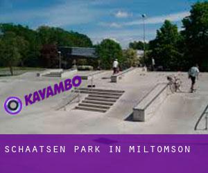 Schaatsen Park in Miltomson
