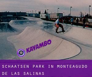 Schaatsen Park in Monteagudo de las Salinas