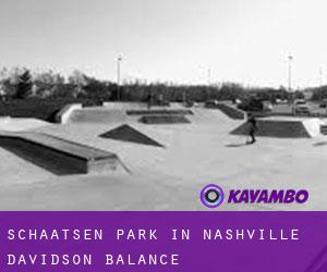 Schaatsen Park in Nashville-Davidson (balance)