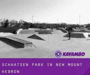 Schaatsen Park in New Mount Hebron
