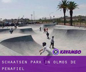 Schaatsen Park in Olmos de Peñafiel