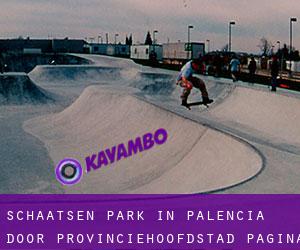 Schaatsen Park in Palencia door provinciehoofdstad - pagina 1