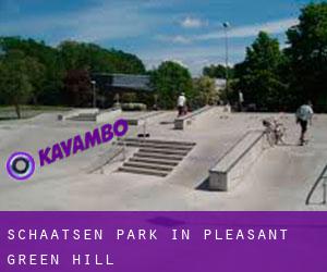Schaatsen Park in Pleasant Green Hill