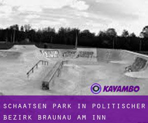 Schaatsen Park in Politischer Bezirk Braunau am Inn