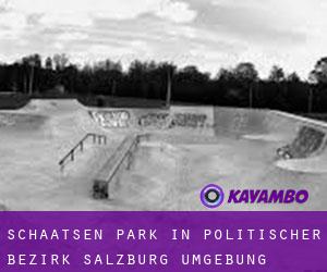 Schaatsen Park in Politischer Bezirk Salzburg Umgebung