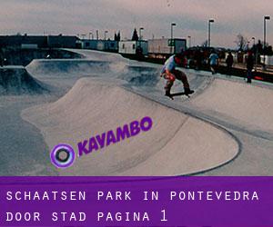 Schaatsen Park in Pontevedra door stad - pagina 1