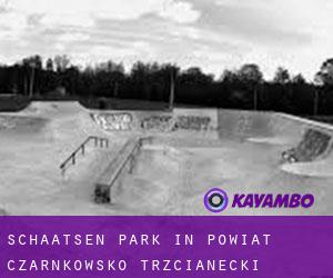 Schaatsen Park in Powiat czarnkowsko-trzcianecki